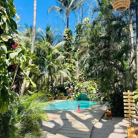 Norte Nosara - Steps To Playa Guiones Экстерьер фото